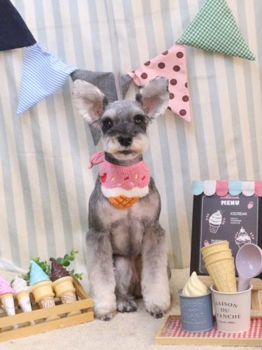 20250523むぎちゃん